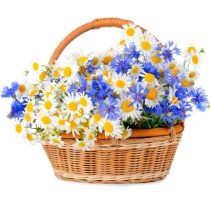 Цветы в корзине с ромашками