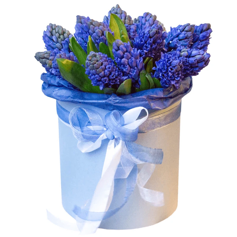 Цветы в Коробке с гиацинтами