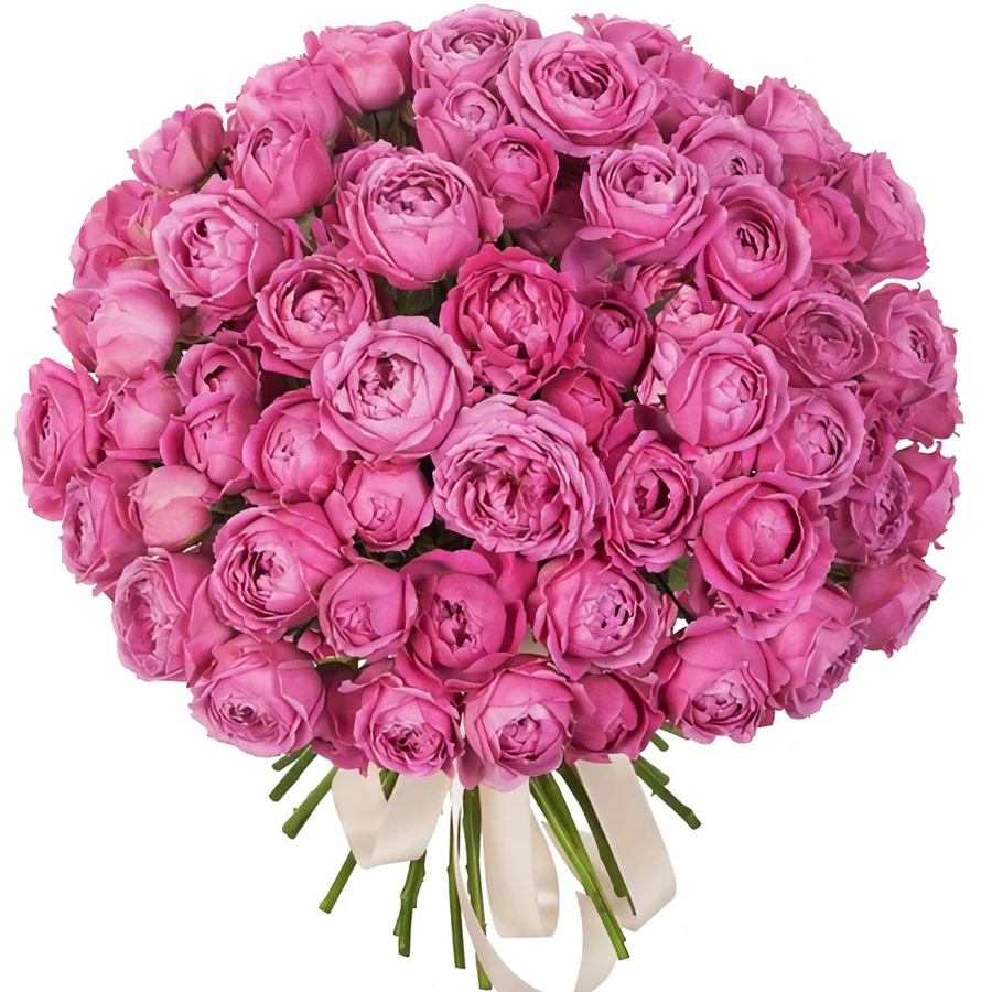 Розы Розовые