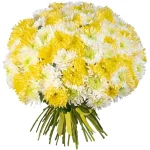 Букет из 75 одноголовых хризантем